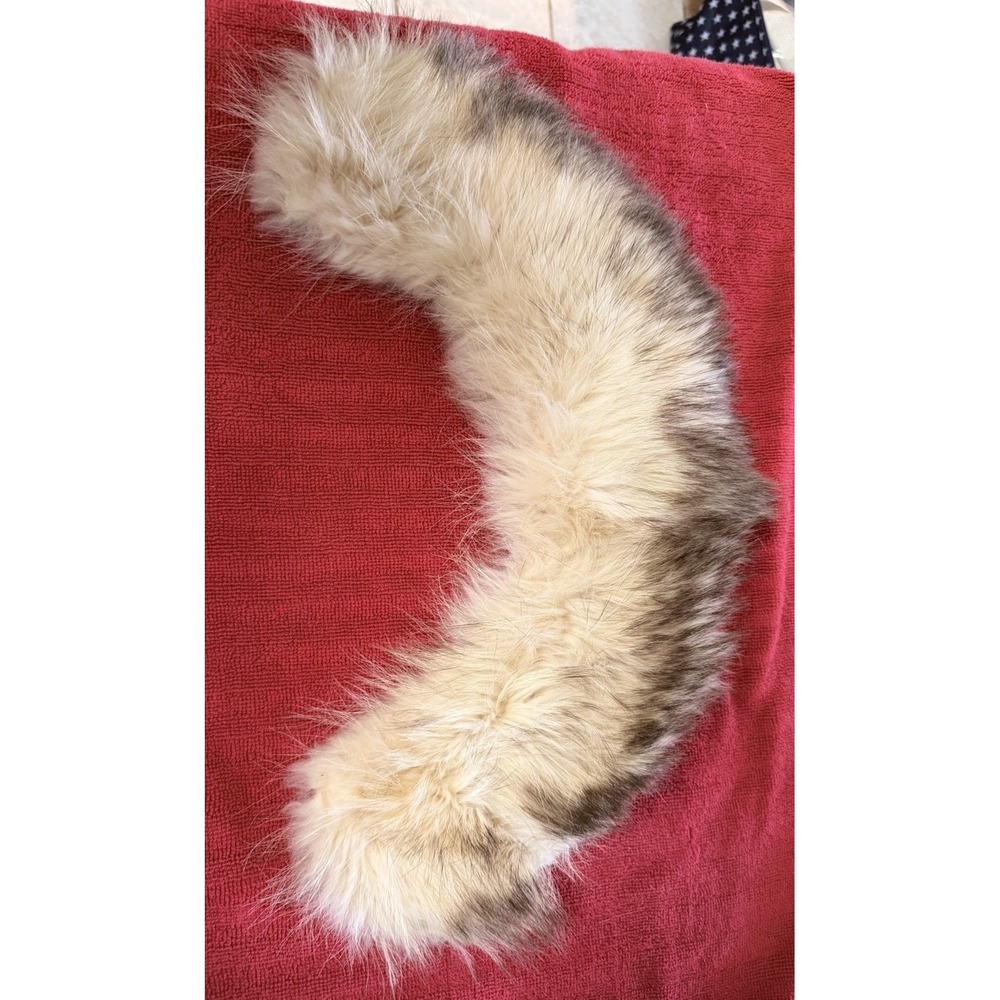 Vintage Blue Fox Fur Collar Cream With Brown Tips Detachable 18"